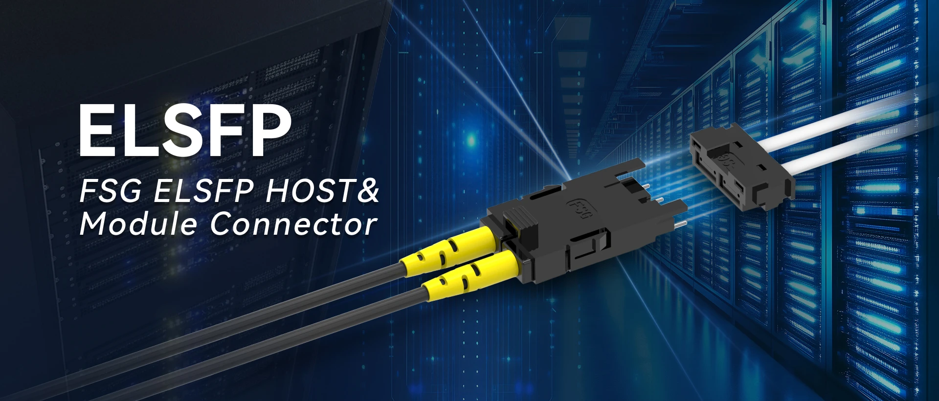 Dongguan FSG Co., Ltd.